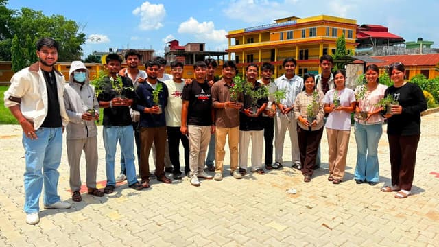 Plantation Program activity
